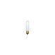 Accessory Incandescent T10 Medium Base 40 watt 120V Bulb