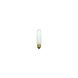 Accessory Incandescent T10 Medium Base 25 watt 120V Bulb