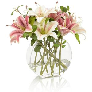 Stargazer Botanical, Fresh Water Look