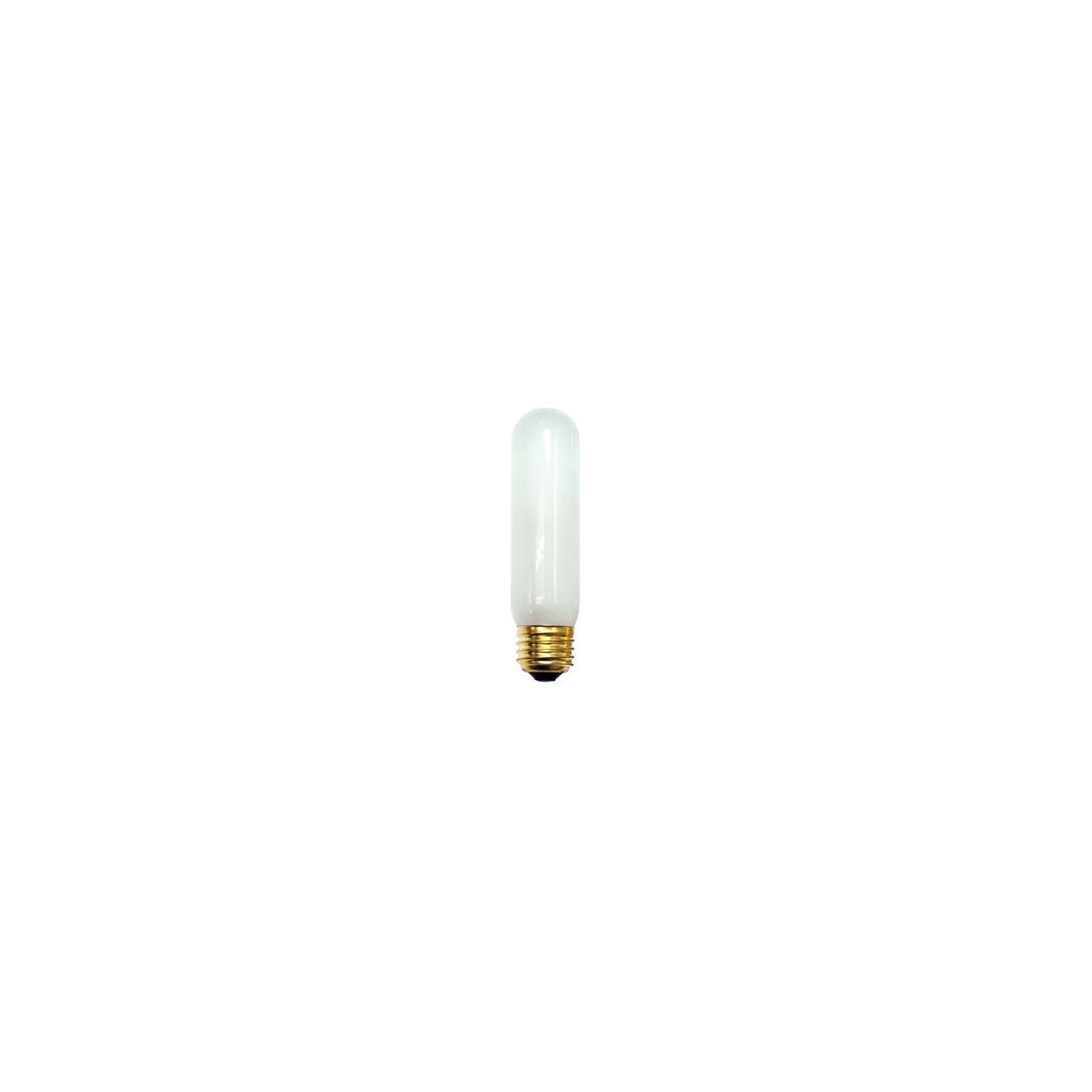Accessory Incandescent T10 Medium Base 40 watt 120V Bulb